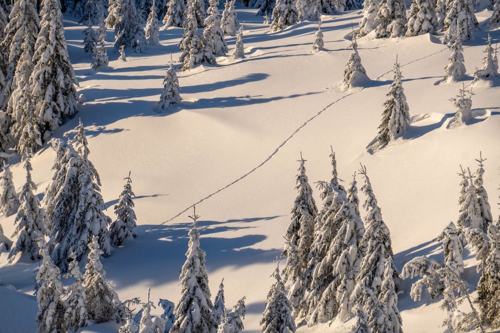 Photograph by Sebastian