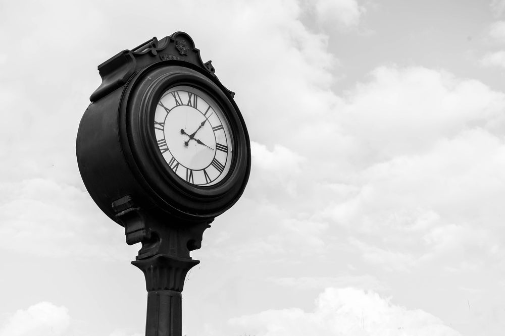 Photograph by Majid Rezaeeanpoor