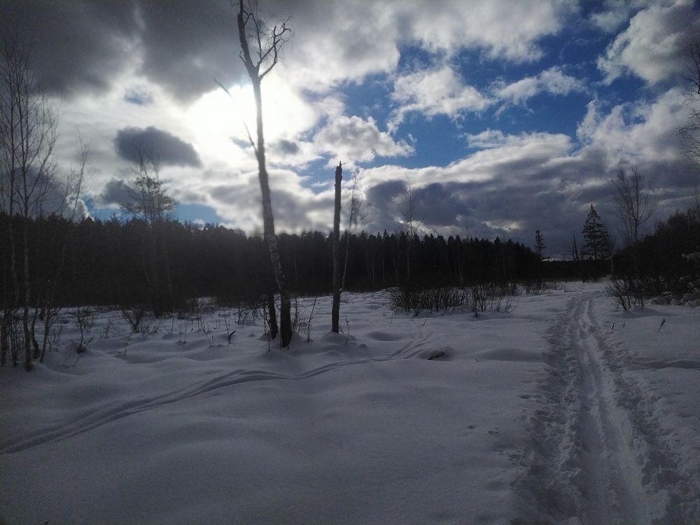 Photograph by Елена Смирнова