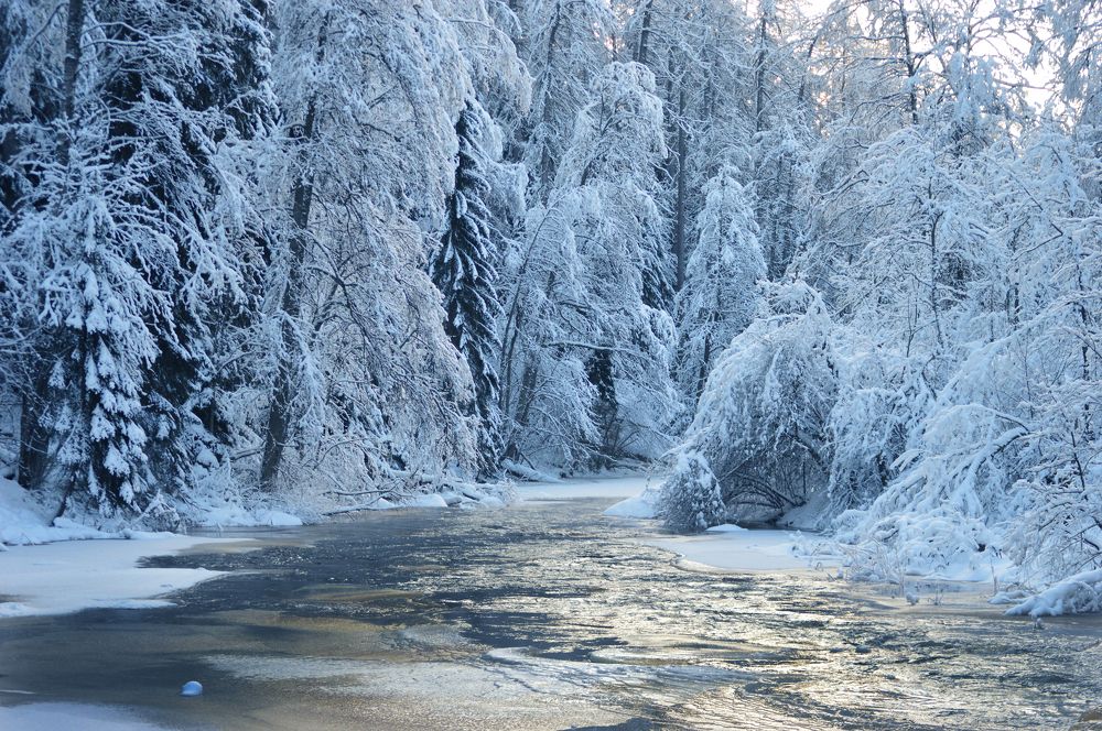Photograph by Светлана Муравьева