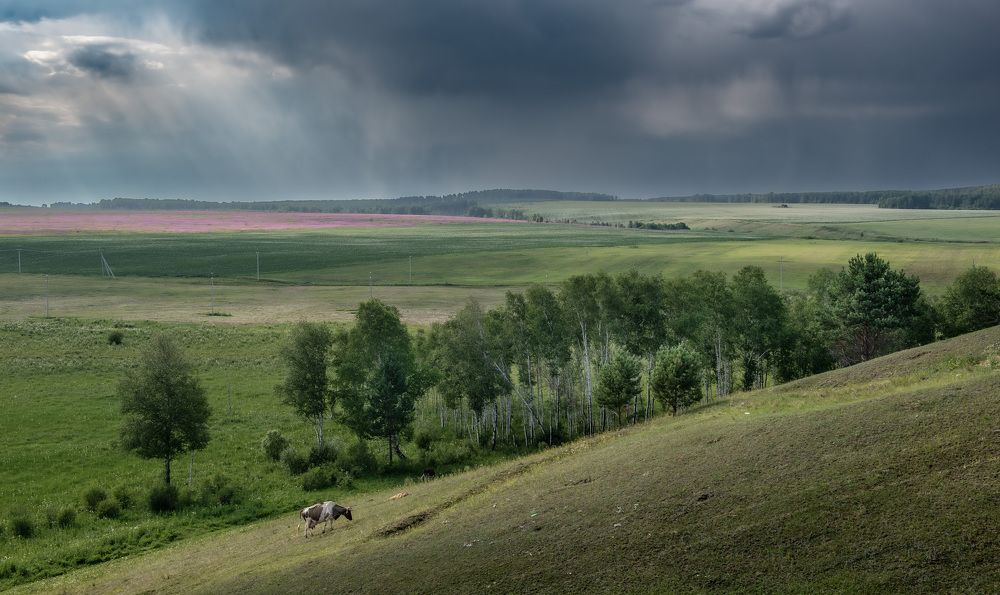 Photograph by Валерий Туманов