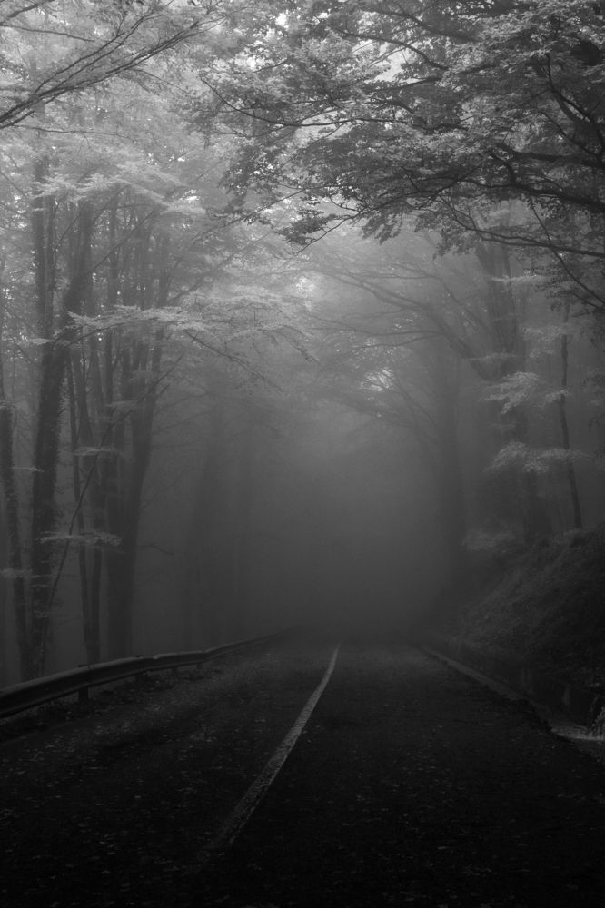 Photograph by Elliott Grieshofer