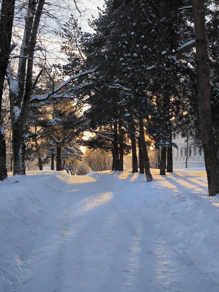 Photograph by Ольга Неведрова