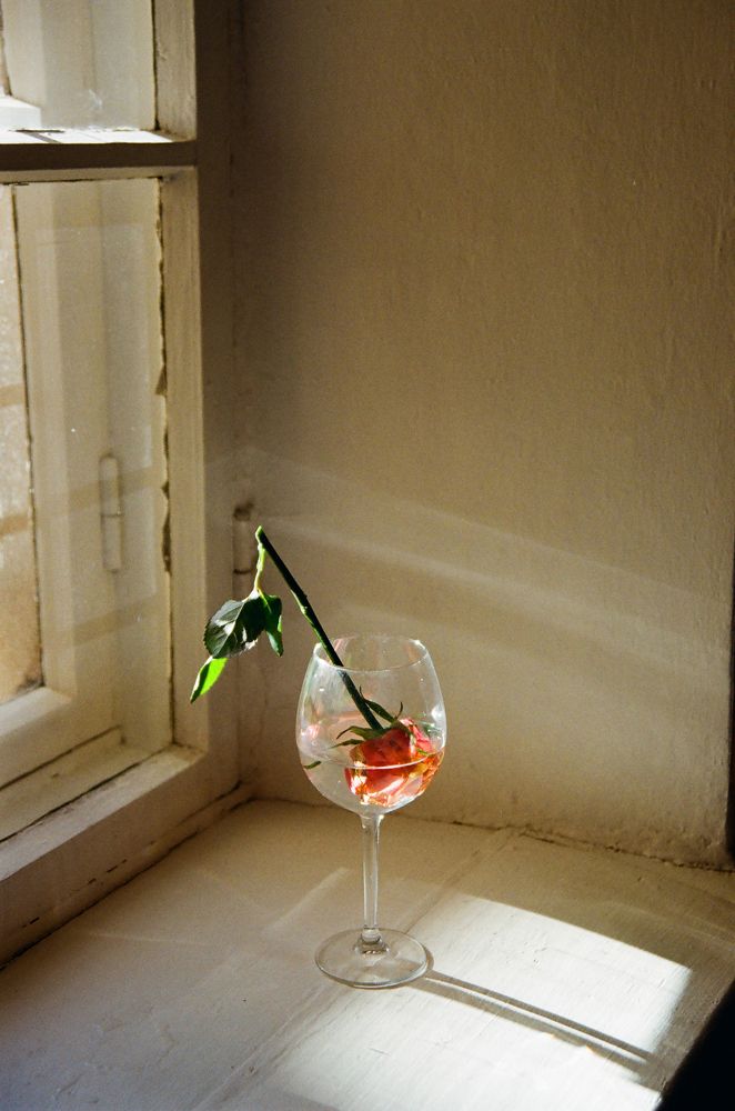 Photograph by Наталья Жук