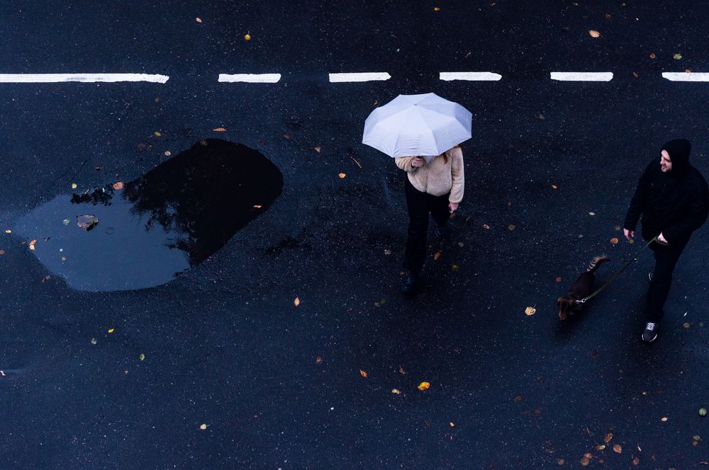 Фотография автора Тимур Разыков