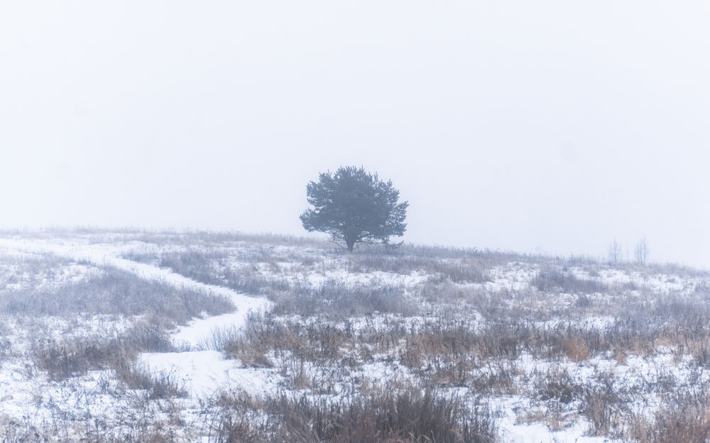 Photograph by Сергей Хабаров