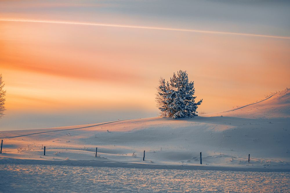 Photograph by Дмитрий