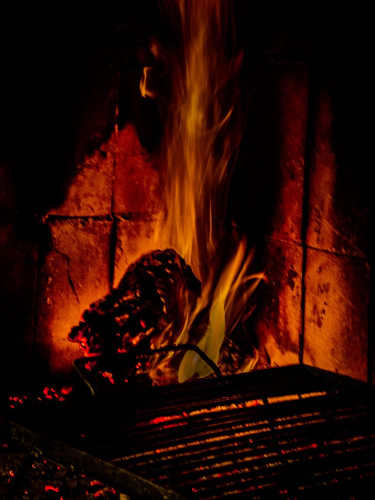 Photograph by Maria Julieta ZURZOLO