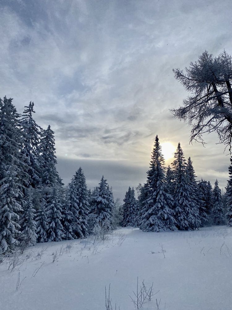 Photograph by Светлана Яковлева