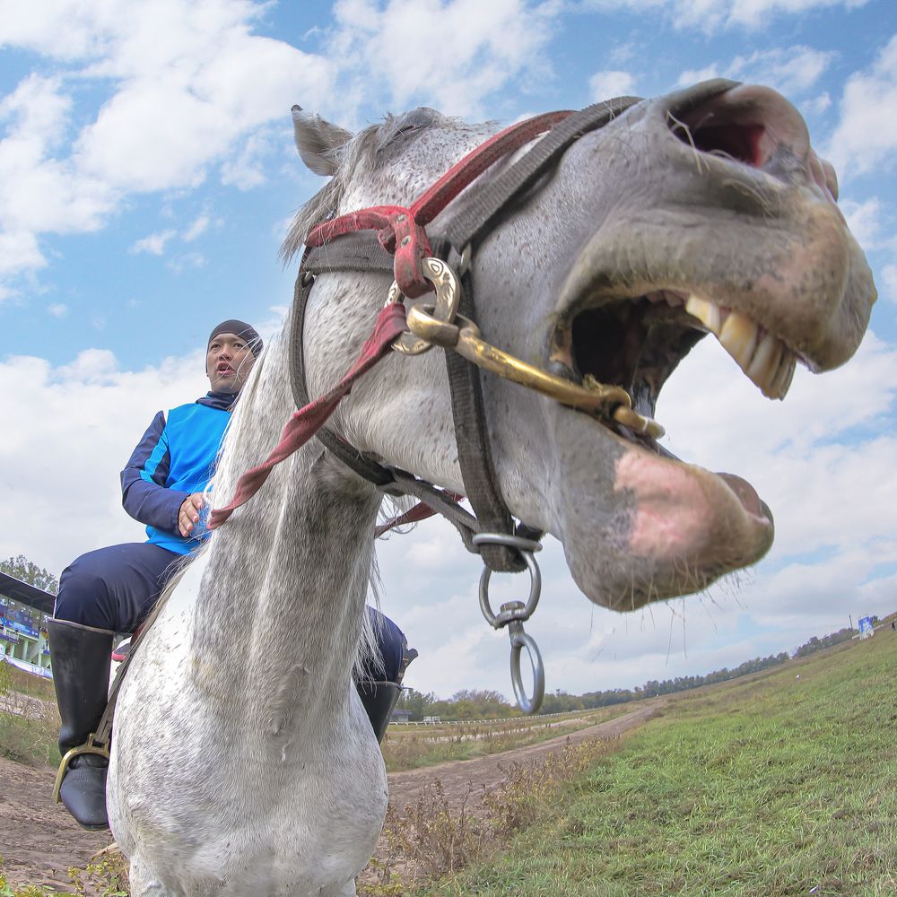 Фотография автора Владимир Пронин