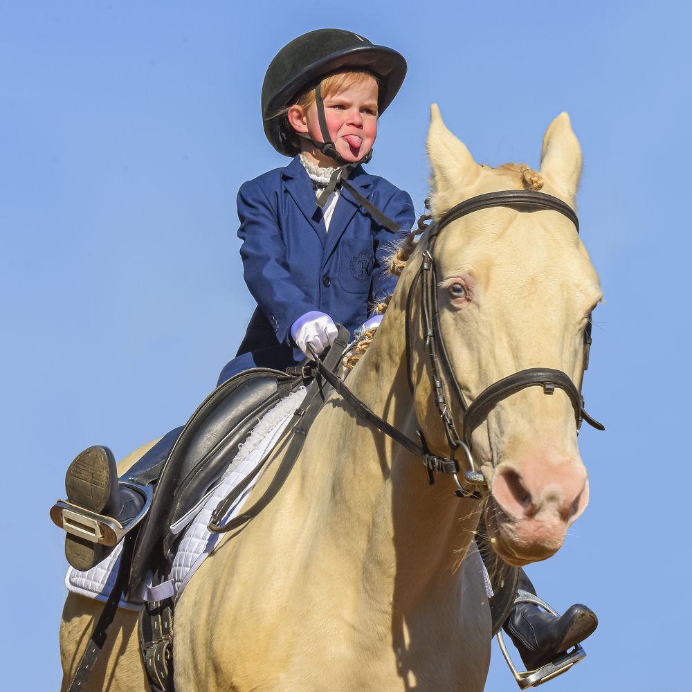 Фотография автора Владимир Пронин