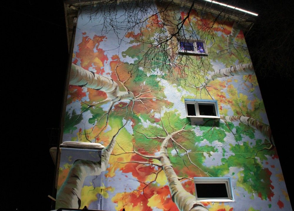 Фотография автора Светлана Терехова