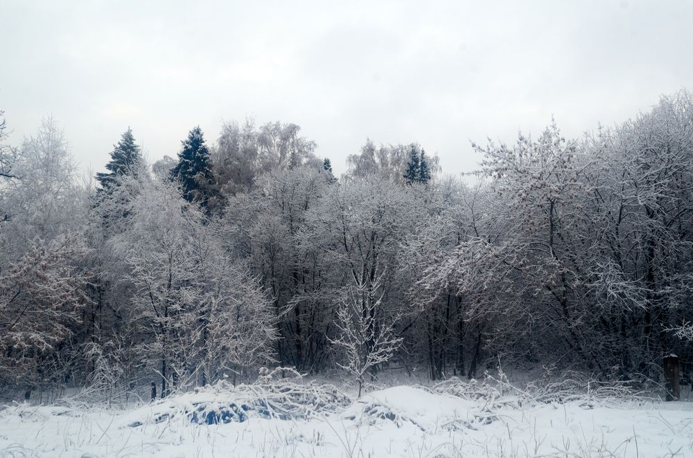 Photograph by Igor Kochkin