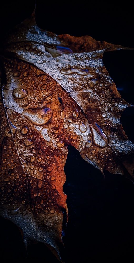 Photograph by Наталья Лищинская