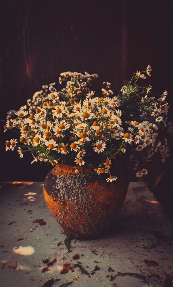 Photograph by Наталья Лищинская