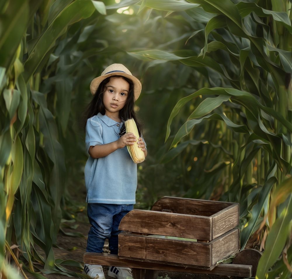 Sweetness in a cornfield