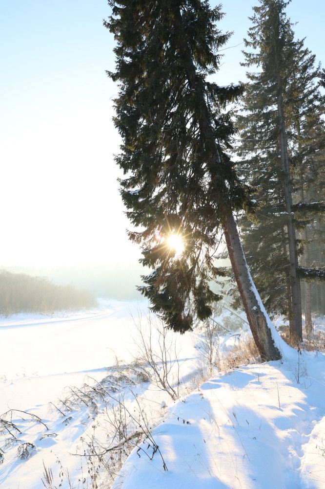 Photograph by Екатерина Анциферова