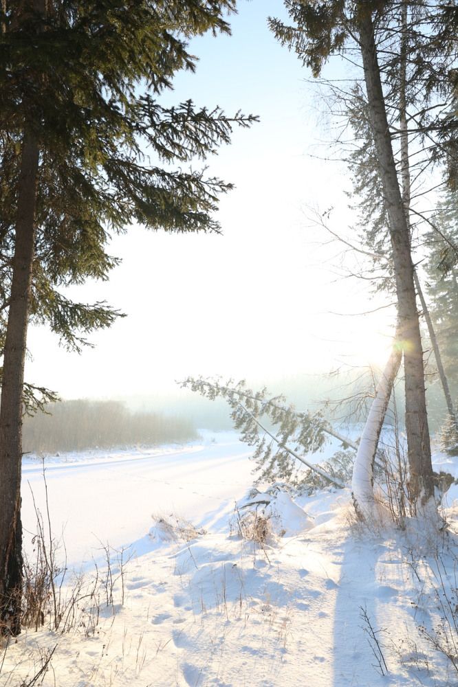 Photograph by Екатерина Анциферова