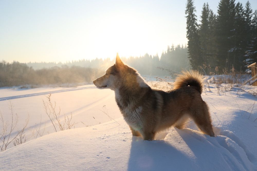 Photograph by Екатерина Анциферова