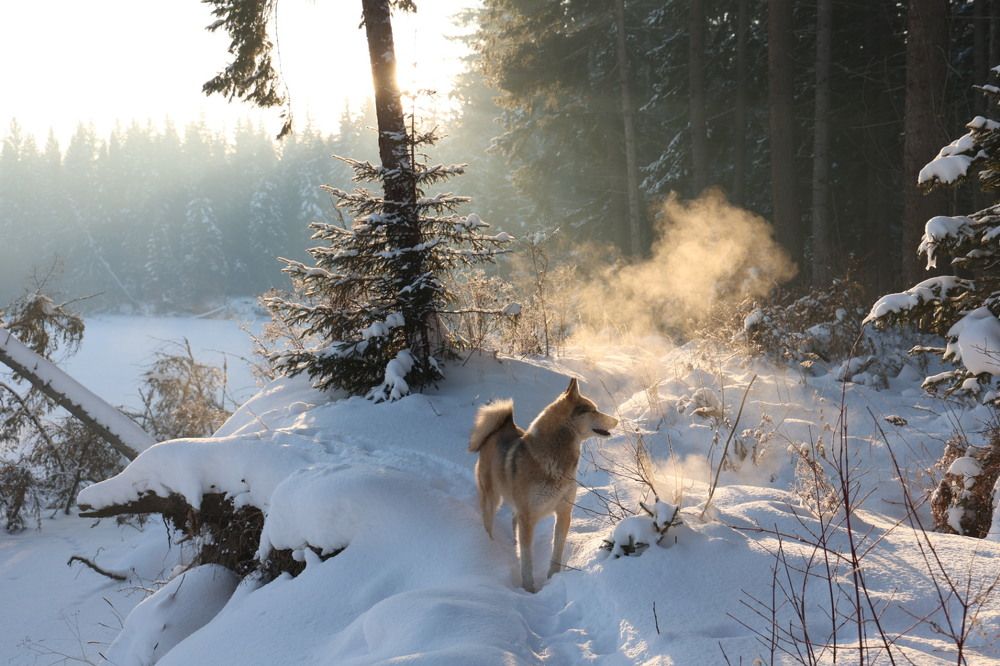 Photograph by Екатерина Анциферова