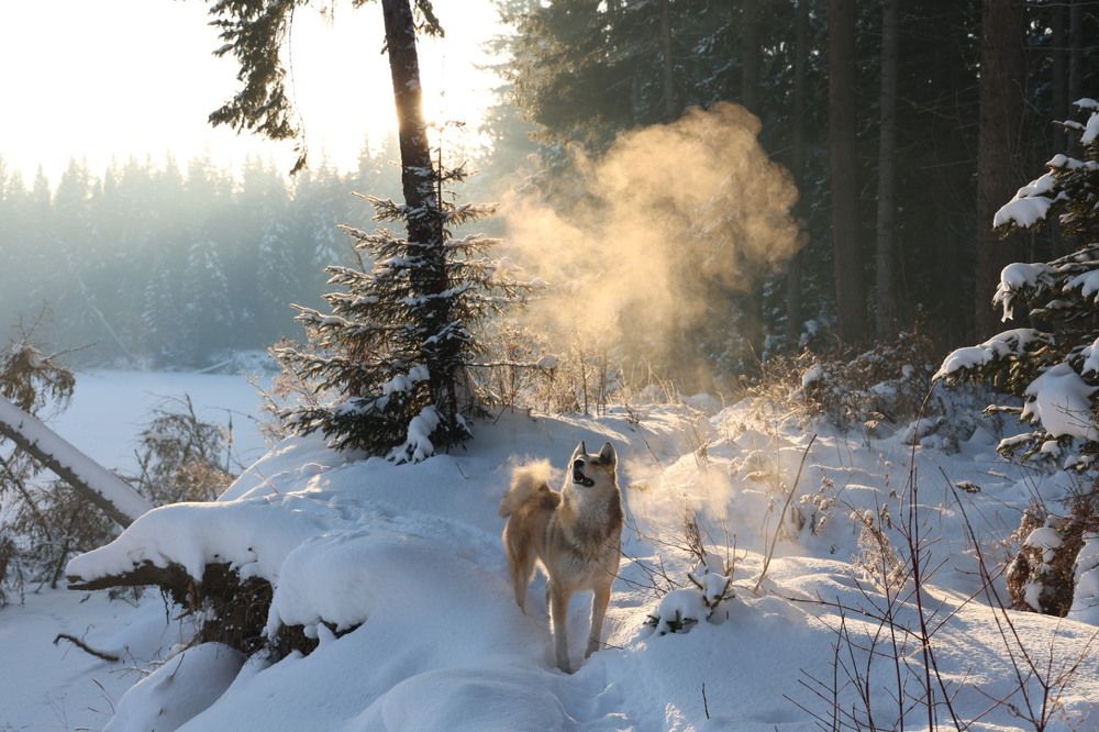 Photograph by Екатерина Анциферова