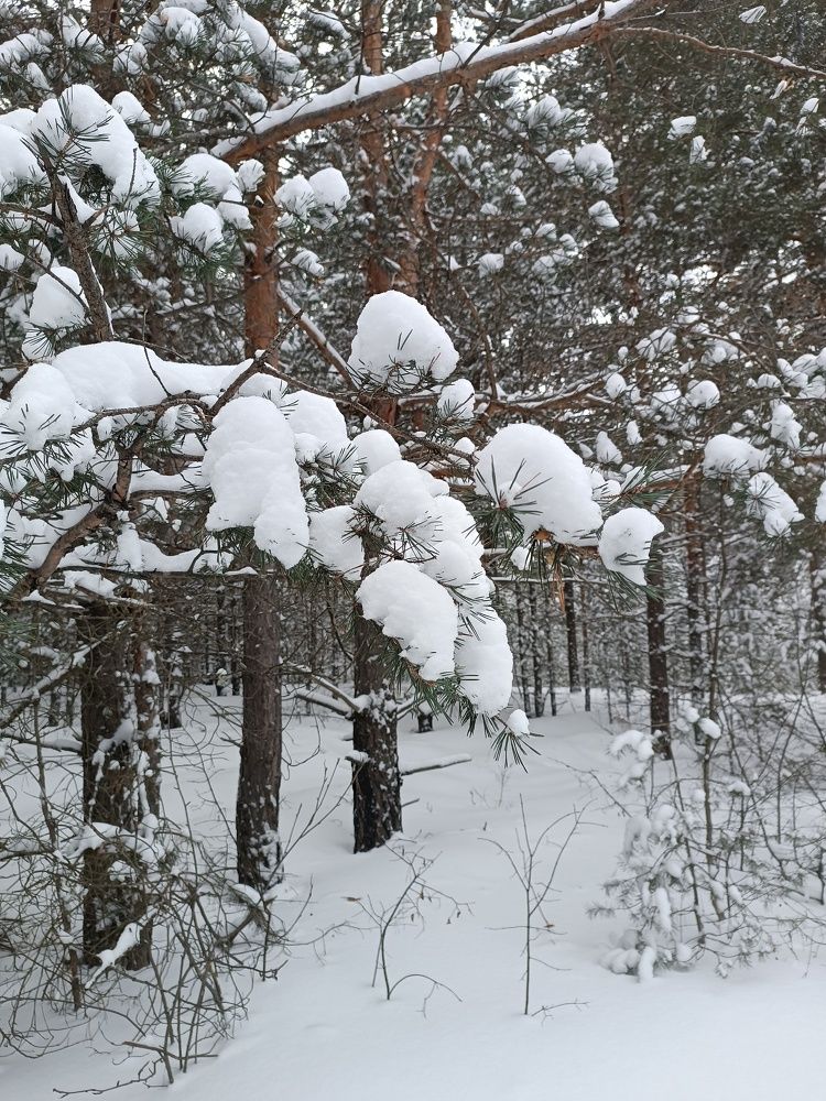 Photograph by Ксения Уварова