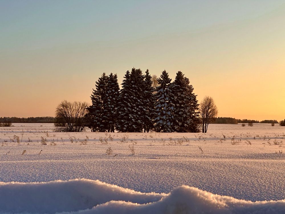 Photograph by Гуляева Светлана