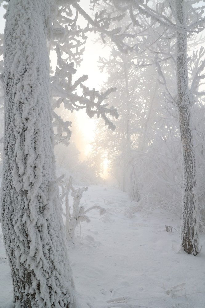 Photograph by Екатерина Анциферова