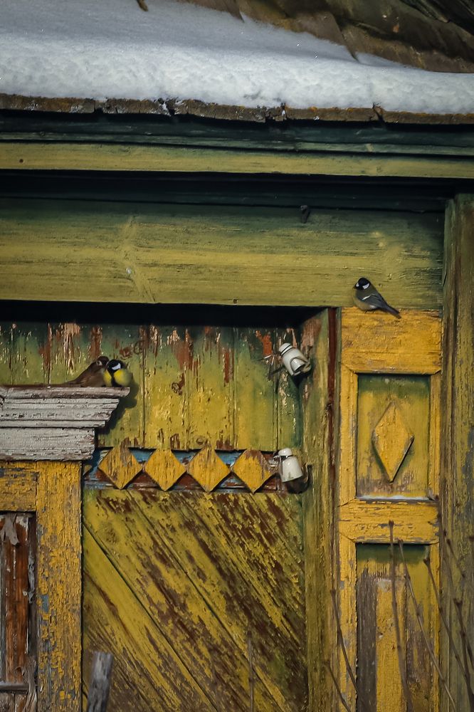 Photograph by Игорь Толкачев