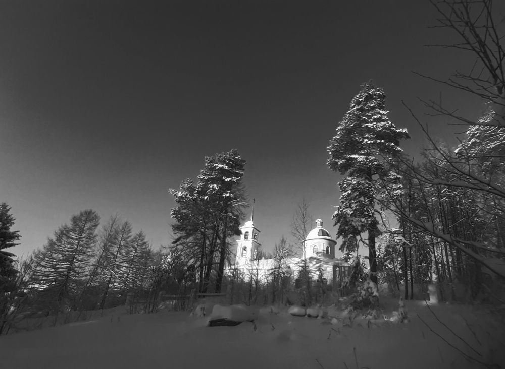 Photo #10066564