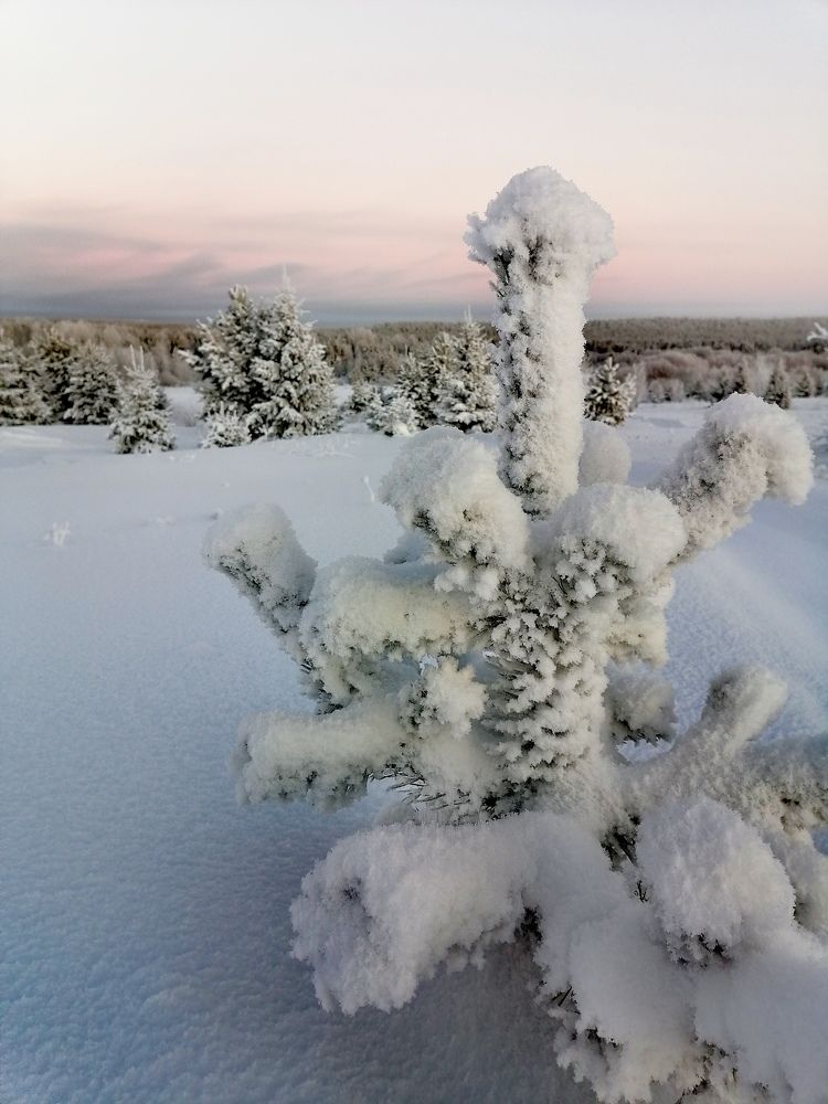 Photograph by Татьяна Бешенкина