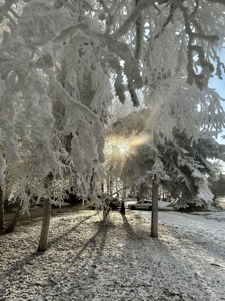 Photograph by Svetlana Rashidova