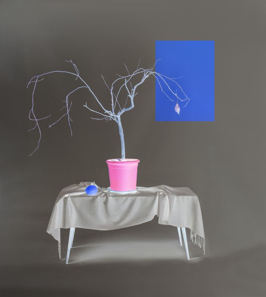 Фотография автора Савчиц Марина