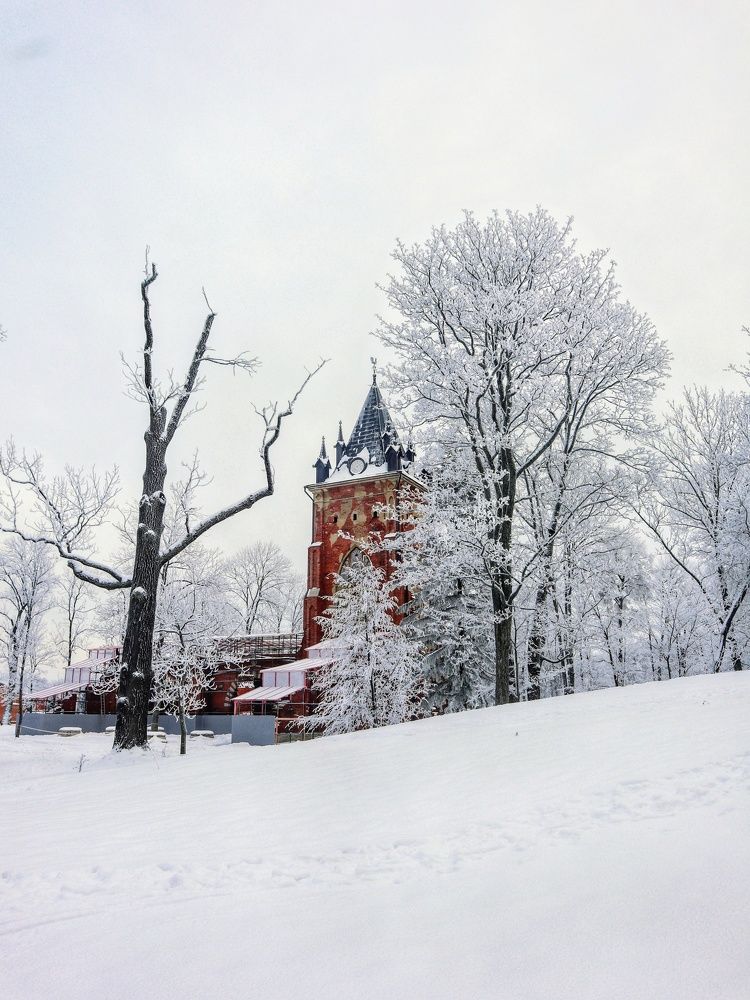 Photograph by Светлана Попова