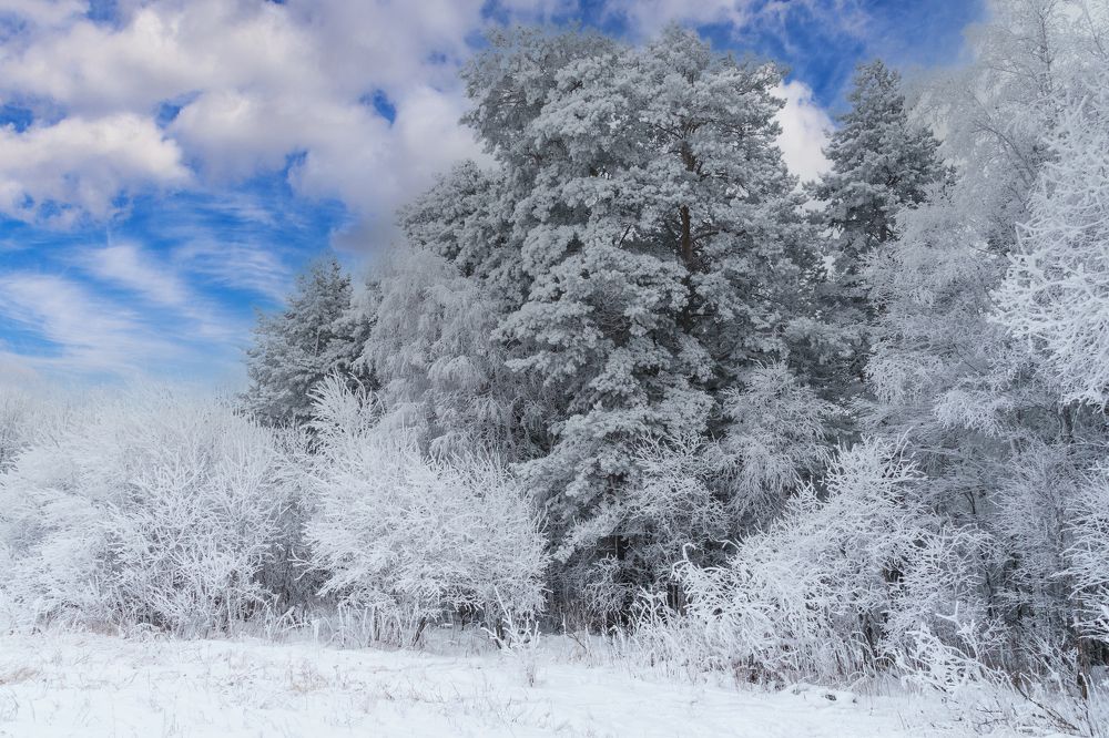 Photograph by Евгений Наймушин