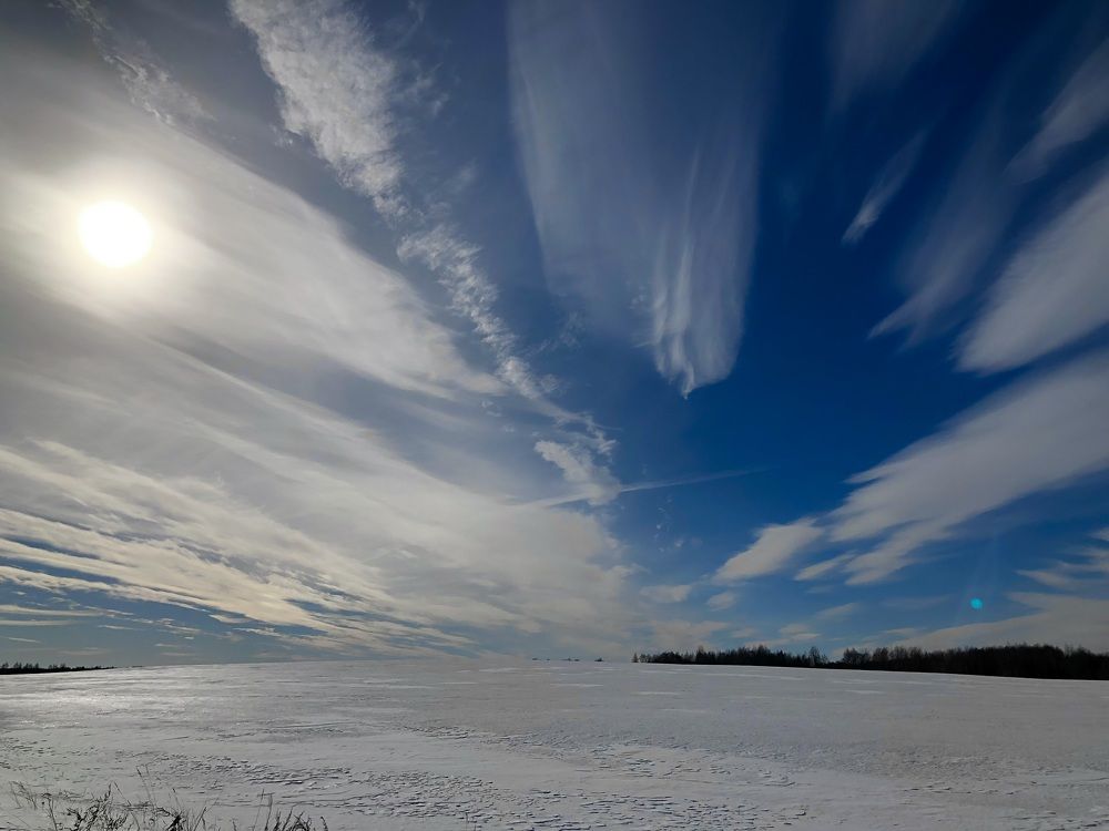 Фотография автора Юлия Косинова