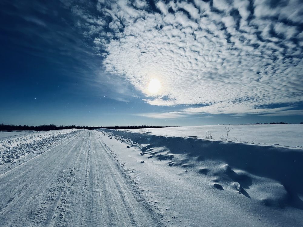 Фотография автора Юлия Косинова