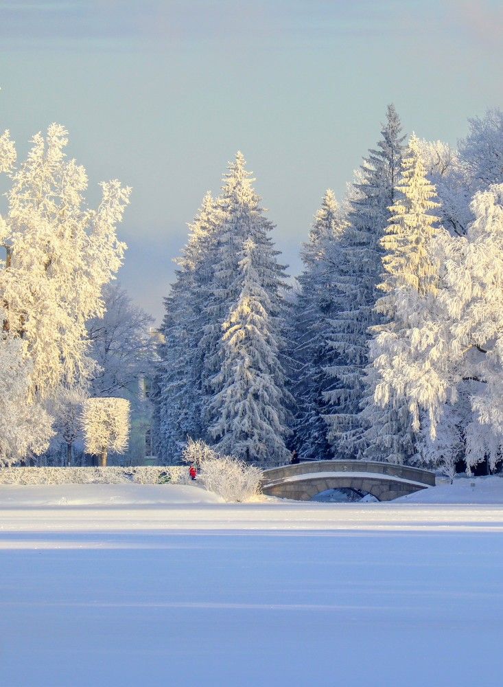 Photograph by Светлана Попова