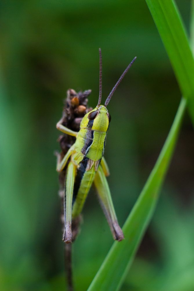 Photograph by Анастасия Фохт