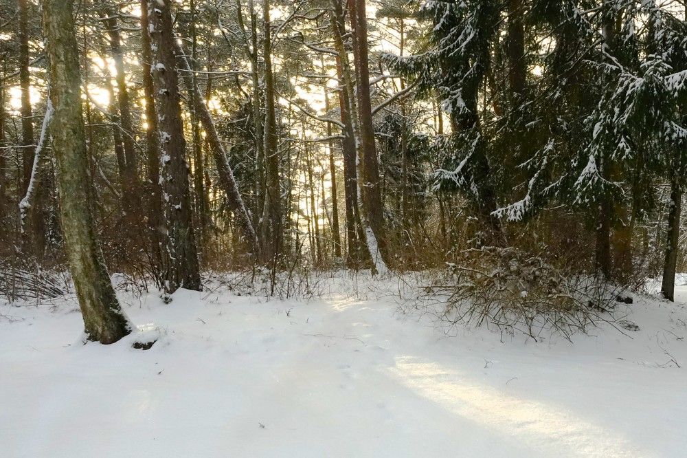 Photograph by jelena konickaja