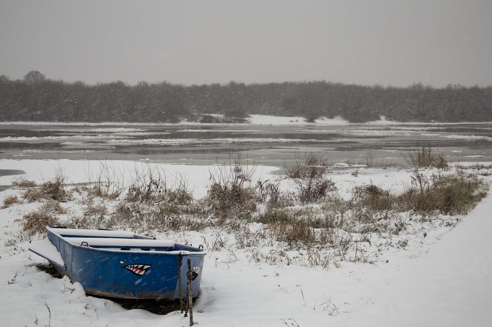 Photograph by Светлана Карнаух