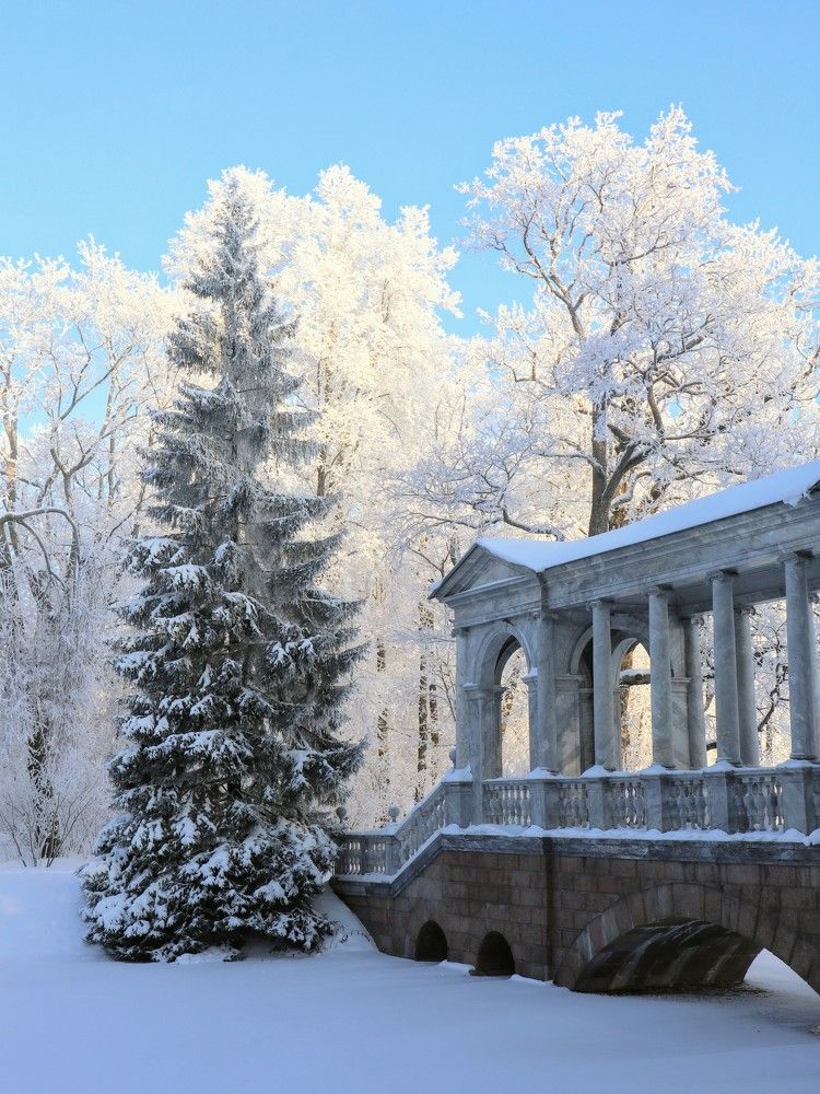 Photograph by Светлана Попова