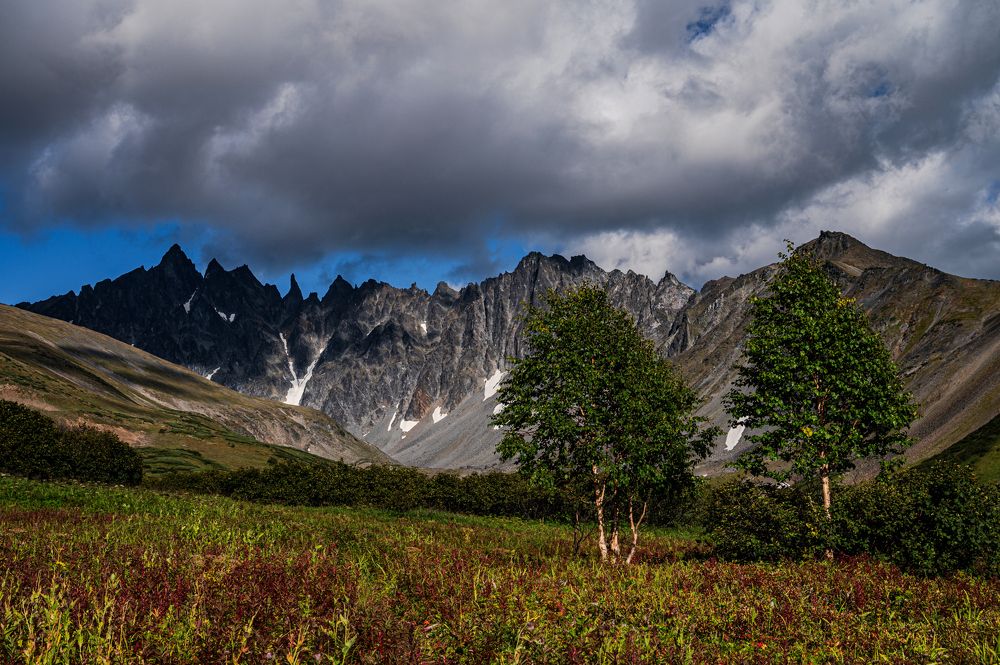 Ганальские востряки