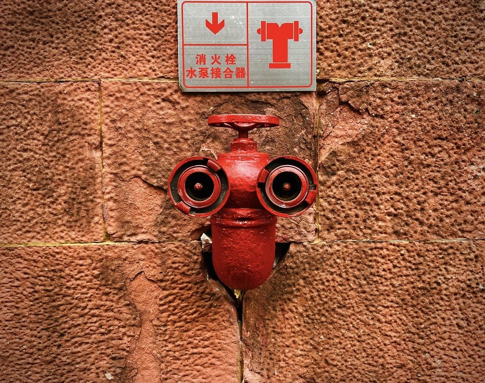 Photograph by Wang Li