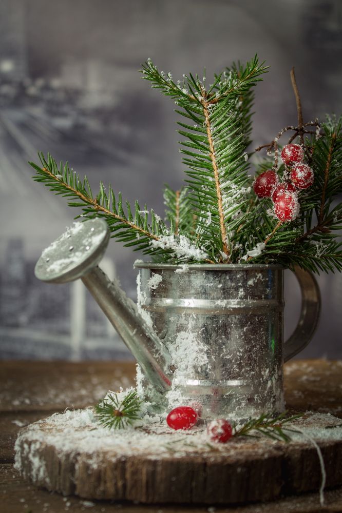 Photograph by Ольга Сергеенко