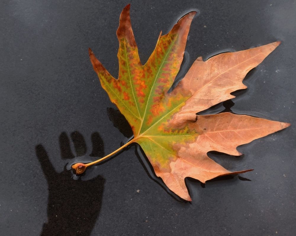Fall on my hand