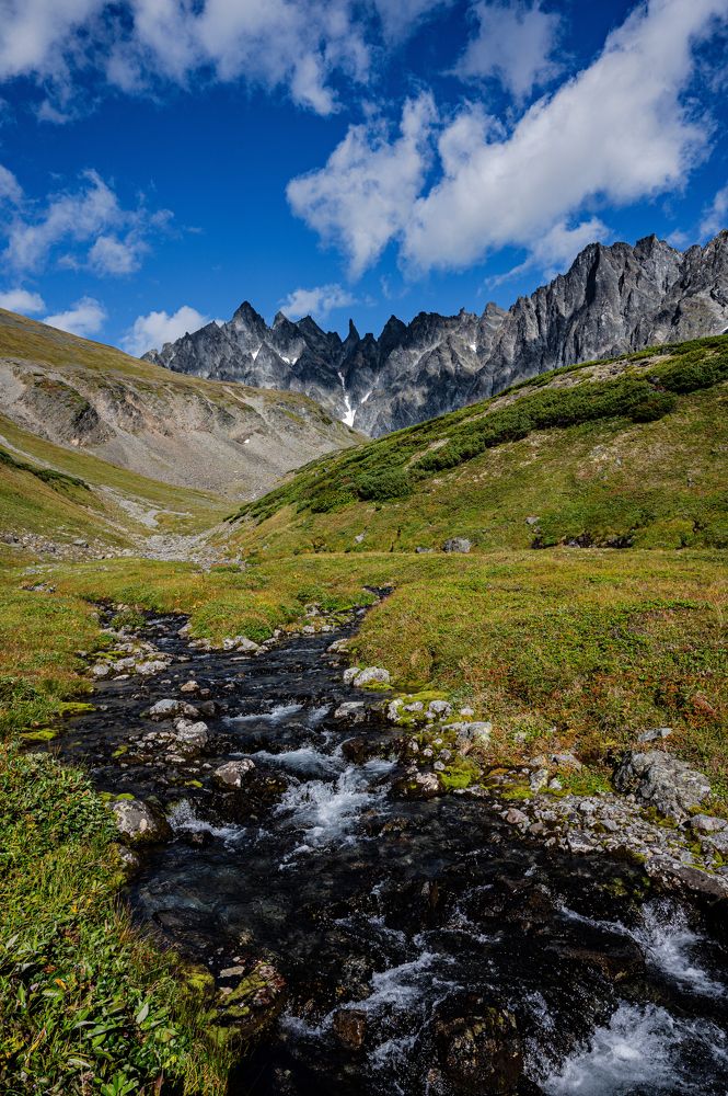 Ганальские востряки