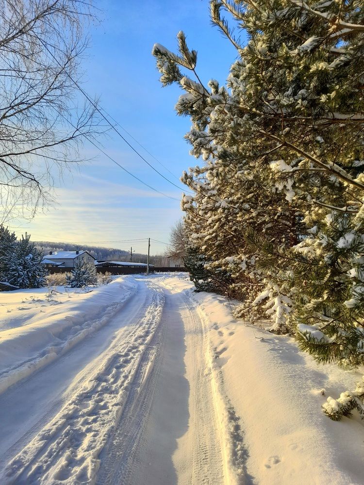 Photograph by Преснухина Екатерина