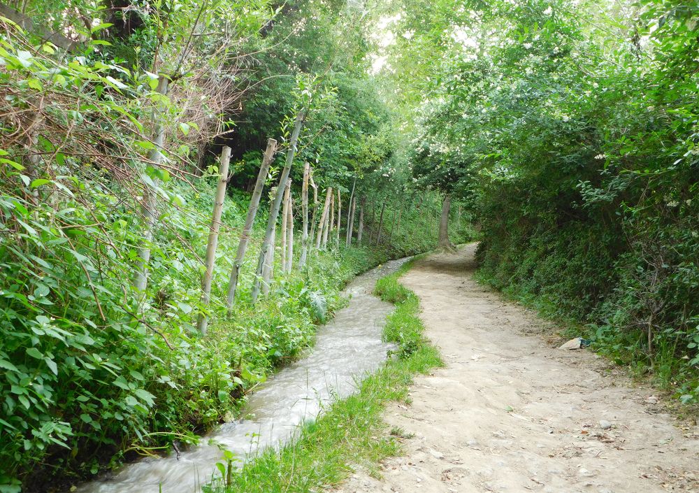 Photograph by Ахроржон