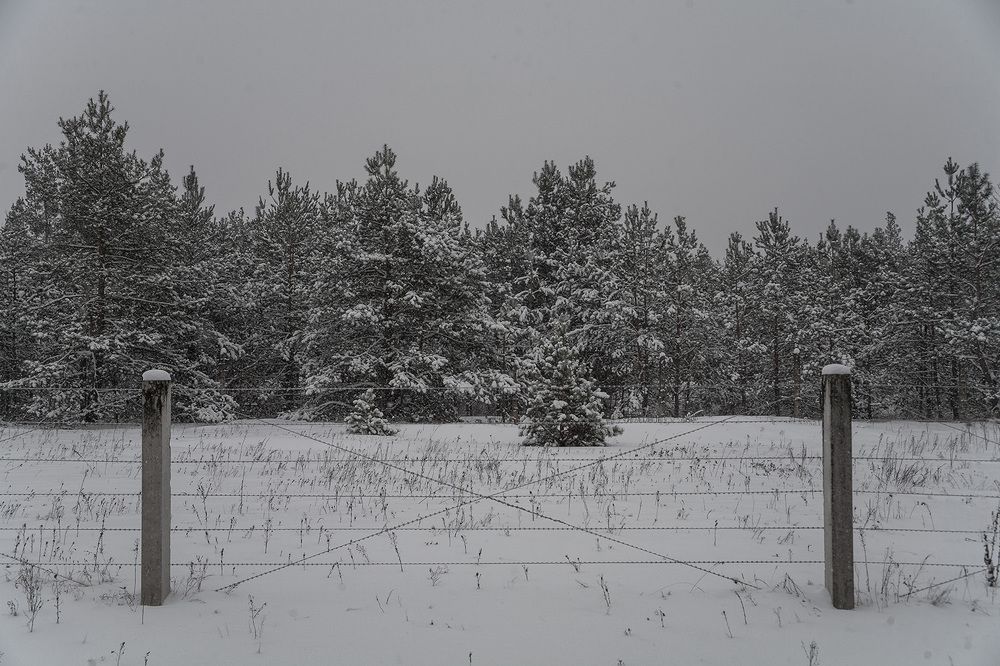 Photograph by Дмитрий Матвеев